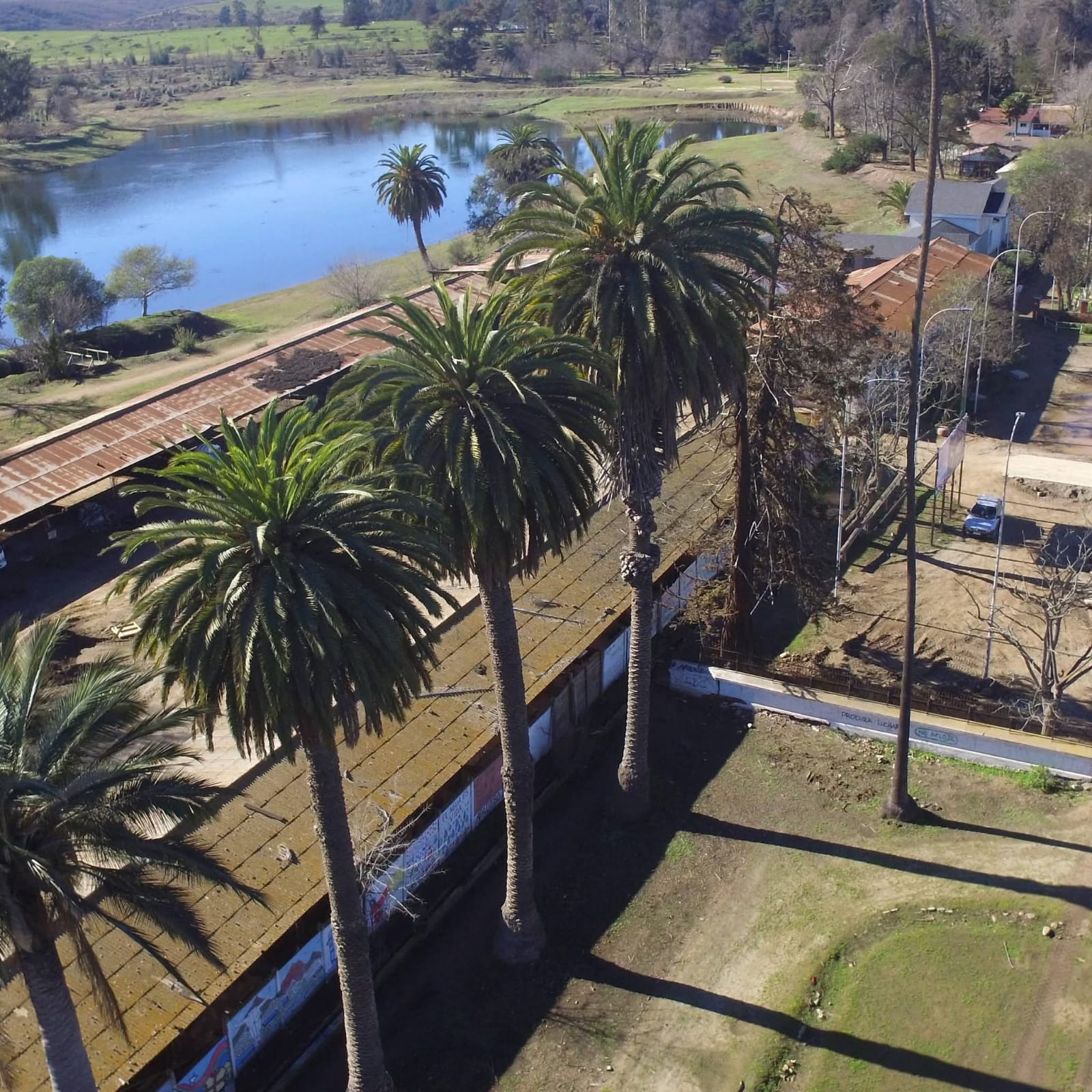 Palmeras y laguna